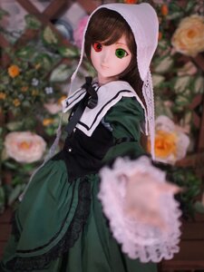 Rating: Safe Score: 0 Tags: 1girl bangs blurry blurry_background blurry_foreground brown_hair depth_of_field doll dress flower frills green_dress green_eyes heterochromia long_hair long_sleeves looking_at_viewer motion_blur red_eyes solo suiseiseki watering_can User: admin