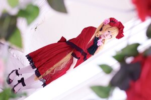 Rating: Safe Score: 0 Tags: 1girl animal blonde_hair blue_eyes blurry blurry_background blurry_foreground bow cat depth_of_field dress flower lips photo red_dress shinku solo standing User: admin
