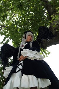 Rating: Safe Score: 0 Tags: 1girl bangs black_dress black_wings closed_eyes closed_mouth dress frills long_hair long_sleeves sitting solo suigintou tree wings User: admin