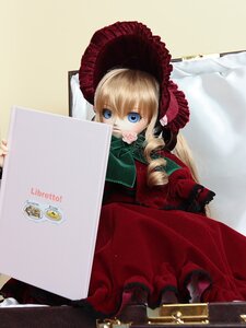 Rating: Safe Score: 0 Tags: 1girl blonde_hair blue_eyes bonnet bow bowtie doll dress drill_hair flower frills in_box in_container long_hair long_sleeves looking_at_viewer pantyhose red_dress rose shinku sitting solo User: admin