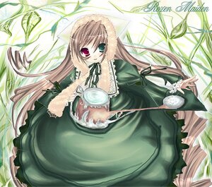 Rating: Safe Score: 0 Tags: 1girl brown_hair dress frills green_dress green_eyes heterochromia image long_hair long_sleeves looking_at_viewer plant red_eyes solo standing suiseiseki twintails very_long_hair watering_can User: admin