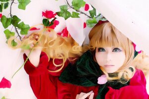 Rating: Safe Score: 0 Tags: 1girl bangs blonde_hair blue_eyes flower leaf rose shinku solo User: admin