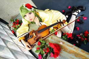 Rating: Safe Score: 0 Tags: 1girl flower green_eyes green_hair hair_ornament instrument kanaria lips playing_instrument red_flower red_rose rose shoes solo violin User: admin