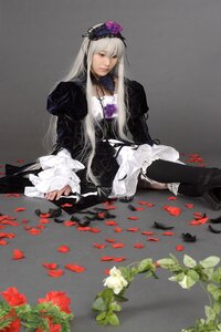 Rating: Safe Score: 0 Tags: 1girl dress flower frills lips long_hair long_sleeves petals rose silver_hair sitting solo suigintou very_long_hair User: admin