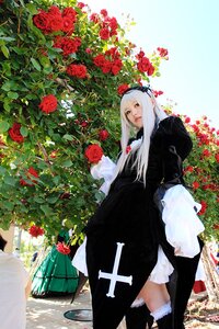Rating: Safe Score: 0 Tags: 1girl black_dress camellia dress flower long_hair looking_at_viewer red_flower red_rose rose solo standing suigintou white_hair User: admin