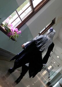 Rating: Safe Score: 0 Tags: 1boy boots flower indoors long_hair solo standing suigintou window User: admin
