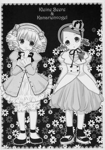 Rating: Safe Score: 0 Tags: 2girls bow dress drill_hair flower greyscale hinaichigo image kanaria long_sleeves looking_at_viewer monochrome multiple_girls pair puffy_sleeves short_hair standing twin_drills User: admin