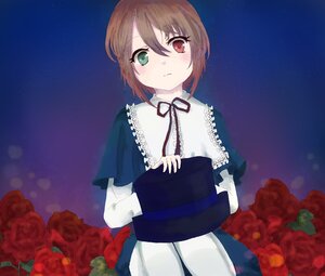 Rating: Safe Score: 0 Tags: 1girl brown_hair capelet dress flower green_eyes heterochromia image long_sleeves night night_sky pink_rose red_eyes red_flower red_rose ribbon rose short_hair sky solo souseiseki spider_lily star_(sky) starry_sky User: admin