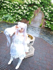 Rating: Safe Score: 0 Tags: 1girl animal_ears chain-link_fence dress fence flower kirakishou long_hair outdoors solo standing tiles white_dress white_hair User: admin