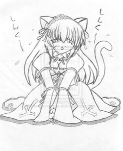 Rating: Safe Score: 0 Tags: 1girl animal_ears blush cat_ears cat_tail full_body greyscale image long_sleeves monochrome solo suigintou tail User: admin