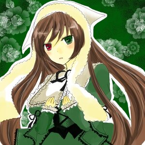 Rating: Safe Score: 0 Tags: 1girl blush brown_hair dress floral_background flower frills green_dress green_eyes head_scarf heterochromia image long_hair long_sleeves looking_at_viewer red_eyes solo suiseiseki very_long_hair watering_can User: admin