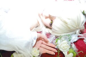 Rating: Safe Score: 0 Tags: 1boy animal_ears bangs blurry flower hair_ornament kirakishou long_sleeves looking_at_viewer rose solo upper_body white_flower white_hair white_rose yellow_eyes User: admin