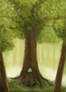 Rating: Safe Score: 0 Tags: forest image nature outdoors scenery solo suiseiseki sunlight tree User: admin