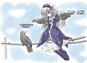 Rating: Safe Score: 0 Tags: 1girl bird black_wings cross dress feathers flower flying frills full_body hairband image long_hair long_sleeves puffy_sleeves ribbon rose silver_hair solo suigintou wings User: admin