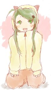 Rating: Safe Score: 0 Tags: 1girl alternate_hairstyle animal_ears blush fang green_eyes green_hair hair_ornament image kanaria long_hair long_sleeves open_mouth sitting smile solo User: admin