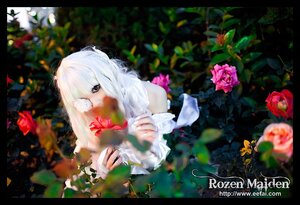 Rating: Safe Score: 0 Tags: 1girl black_border blurry depth_of_field dress flower kirakishou letterboxed long_hair long_sleeves pillarboxed red_flower rose solo white_hair windowboxed User: admin