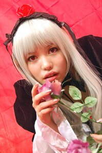 Rating: Safe Score: 0 Tags: 1girl flower hairband holding_flower lips long_hair looking_at_viewer pink_flower pink_rose realistic red_eyes red_flower red_rose rose solo suigintou white_hair User: admin