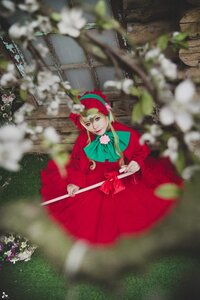 Rating: Safe Score: 0 Tags: 1girl blonde_hair blurry blurry_background blurry_foreground depth_of_field dress flower motion_blur photo red_dress shinku solo User: admin