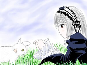 Rating: Safe Score: 0 Tags: 1girl dress field flower frilled_sleeves frills grass hairband image juliet_sleeves long_sleeves outdoors profile red_eyes silver_hair solo suigintou wings User: admin