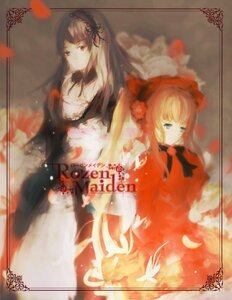 Rating: Safe Score: 0 Tags: 2girls blonde_hair blue_eyes bow bug butterfly dress flower image insect long_hair multiple_girls pair red_dress rose shinku silver_hair suigintou User: admin