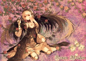 Rating: Safe Score: 0 Tags: 1girl blonde_hair dress flower gothic_lolita hairband image joints lolita_fashion long_hair looking_at_viewer pink_flower pink_rose red_eyes red_flower red_rose rose solo suigintou thorns very_long_hair vines wings User: admin