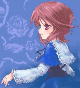 Rating: Safe Score: 0 Tags: 1girl blue_background flower frills image long_sleeves looking_back pink_hair rose short_hair solo souseiseki upper_body User: admin