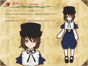 Rating: Safe Score: 0 Tags: 1girl blue_dress brown_hair dress flower frills green_eyes hat heterochromia image long_sleeves looking_at_viewer pantyhose red_eyes ribbon rose short_hair solo souseiseki suiseiseki white_legwear User: admin