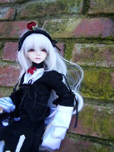 Rating: Safe Score: 0 Tags: 1girl black_dress doll dress flower hairband long_hair long_sleeves red_eyes red_flower red_rose rose solo suigintou white_hair User: admin