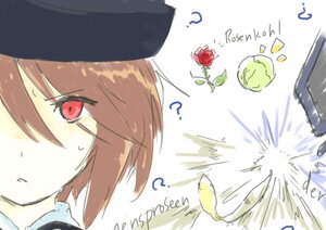 Rating: Safe Score: 0 Tags: 1girl ? brown_hair flower hat image red_eyes red_flower red_rose rose short_hair solo souseiseki spoken_question_mark sweat User: admin