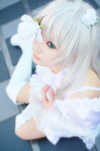 Rating: Safe Score: 0 Tags: 1girl blue_eyes blurry blurry_background blurry_foreground closed_mouth depth_of_field flower hair_ornament kirakishou lips looking_at_viewer photo sitting solo white_flower white_hair white_rose User: admin