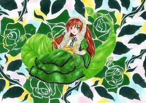 Rating: Safe Score: 0 Tags: 1girl brown_hair dress flower frills green_dress green_eyes heterochromia image long_hair long_sleeves looking_at_viewer red_eyes smile solo suiseiseki very_long_hair watering_can User: admin