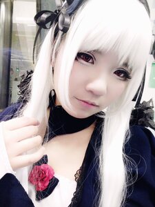 Rating: Safe Score: 0 Tags: 1girl bangs blood closed_mouth flower hair_ornament lips looking_at_viewer portrait red_eyes ribbon rose solo suigintou upper_body white_hair User: admin