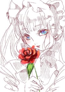 Rating: Safe Score: 0 Tags: 1girl bangs blue_eyes bow cat_ears flower hat holding holding_flower image long_hair looking_at_viewer red_flower red_rose rose shinku simple_background solo spot_color white_background User: admin