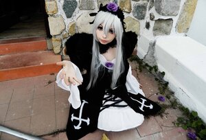 Rating: Safe Score: 0 Tags: 1girl dress flower long_hair purple_flower purple_rose rose solo suigintou traditional_media User: admin