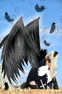Rating: Safe Score: 0 Tags: 1girl animal bird black_wings blonde_hair bug butterfly crow dress feathers flock insect long_hair profile seagull solo suigintou wings User: admin