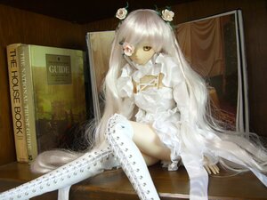 Rating: Safe Score: 0 Tags: 1girl doll dress eyepatch flower frills hair_flower hair_ornament kirakishou long_hair photo rose sitting solo thighhighs very_long_hair white_dress white_flower white_hair white_rose yellow_eyes User: admin