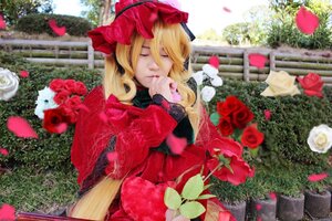 Rating: Safe Score: 0 Tags: 1girl blonde_hair blurry closed_eyes depth_of_field dress flower garden petals red_dress red_flower red_rose rose shinku solo User: admin