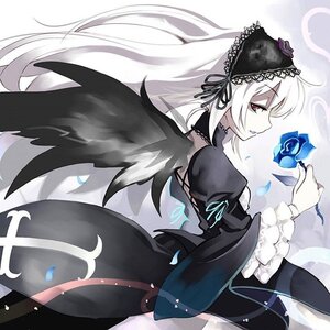 Rating: Safe Score: 0 Tags: 1girl black_dress black_wings dress feathers flower frilled_sleeves frills gothic_lolita hairband image juliet_sleeves lolita_fashion lolita_hairband long_hair long_sleeves looking_at_viewer petals puffy_sleeves red_eyes ribbon rose silver_hair solo suigintou very_long_hair wings User: admin