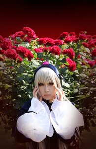 Rating: Safe Score: 0 Tags: 1girl bangs closed_mouth flower hairband lips long_sleeves looking_at_viewer plant red_flower red_rose rose solo suigintou upper_body white_hair User: admin