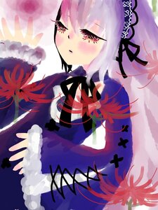 Rating: Safe Score: 0 Tags: 1girl black_ribbon blush dress flower image long_sleeves looking_at_viewer red_flower ribbon short_hair solo spider_lily suigintou User: admin
