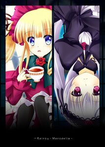 Rating: Safe Score: 0 Tags: 2girls blonde_hair blue_eyes blush bow cup dress flower frills hairband image letterboxed long_hair long_sleeves looking_at_viewer multiple_girls open_mouth pair rose shinku silver_hair suigintou tea teacup twintails User: admin