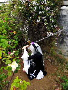 Rating: Safe Score: 0 Tags: 1boy flower japanese_clothes katana kimono long_hair solo suigintou sword very_long_hair weapon User: admin