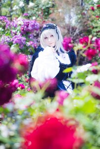 Rating: Safe Score: 0 Tags: 1girl bangs blue_dress blurry blurry_background blurry_foreground closed_mouth depth_of_field dress flower frills hairband holding long_hair long_sleeves looking_at_viewer sitting solo suigintou User: admin