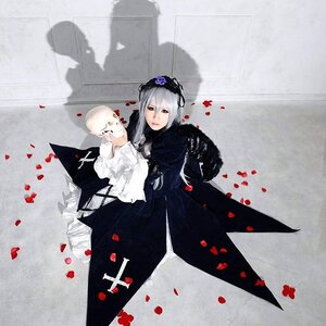 Rating: Safe Score: 0 Tags: 1girl dress flower petals rose_petals solo suigintou User: admin