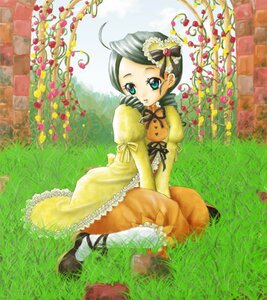 Rating: Safe Score: 0 Tags: 1girl blue_eyes dress flower frills grass image kanaria long_sleeves looking_at_viewer outdoors puffy_sleeves ribbon sitting solo User: admin