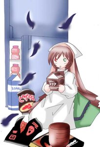Rating: Safe Score: 0 Tags: 1girl bird blurry blurry_foreground brown_hair depth_of_field dress feathers food green_eyes head_scarf heterochromia image long_hair long_sleeves mouth_hold red_eyes solo suiseiseki very_long_hair User: admin