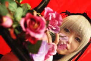 Rating: Safe Score: 0 Tags: 1girl bangs blonde_hair blurry blurry_background blurry_foreground depth_of_field flower hairband looking_at_viewer motion_blur photo red_background rose solo suigintou User: admin