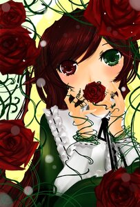 Rating: Safe Score: 0 Tags: 1girl flower image red_flower red_rose rose rose_petals solo souseiseki suiseiseki thorns vines User: admin