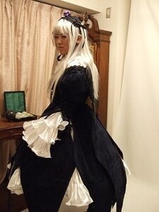 Rating: Safe Score: 0 Tags: 1girl black_dress dress flower gloves gothic_lolita long_hair photo solo standing suigintou white_hair User: admin