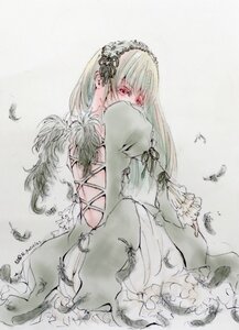 Rating: Safe Score: 0 Tags: 1girl bird bug butterfly covering_mouth dress feathers flower frills hairband insect long_hair long_sleeves looking_at_viewer red_eyes solo suigintou wide_sleeves wings User: admin